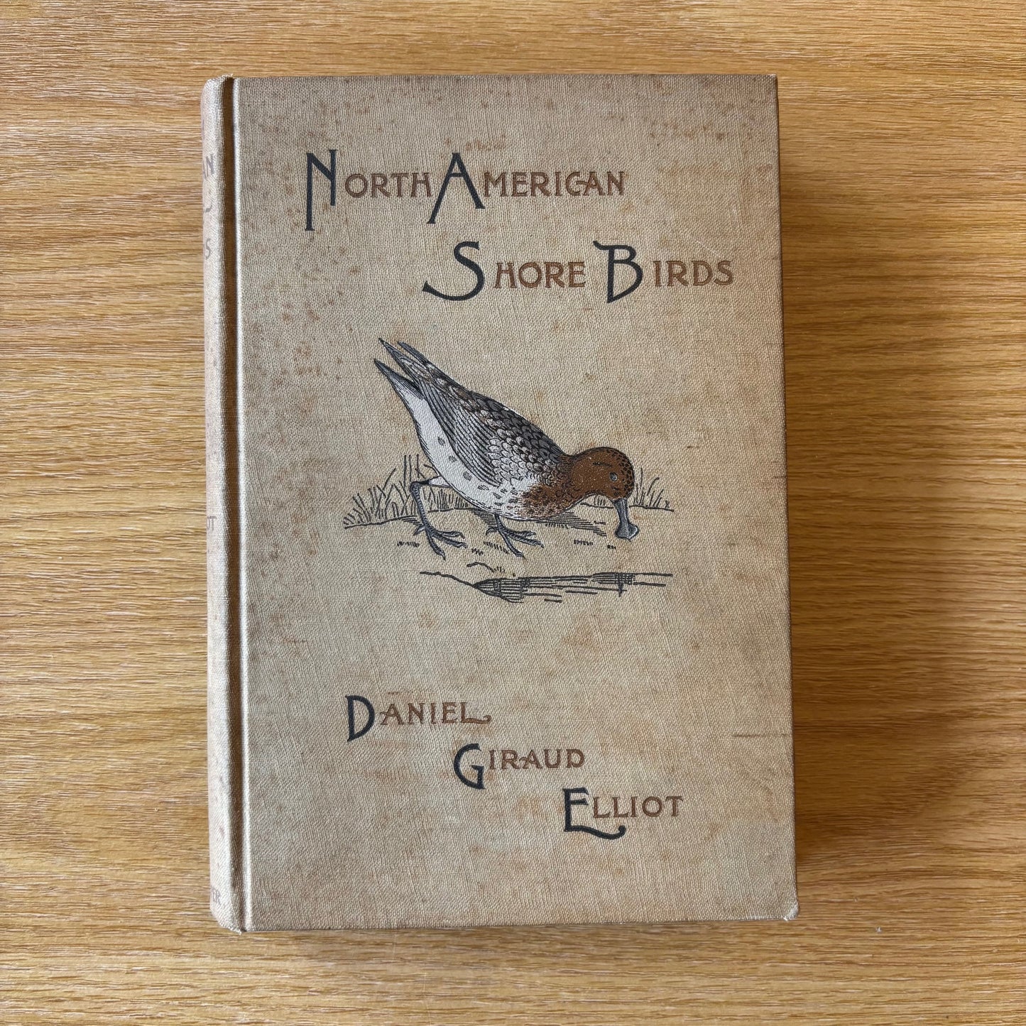 Daniel Giruad Elliot - North American Shore Birds