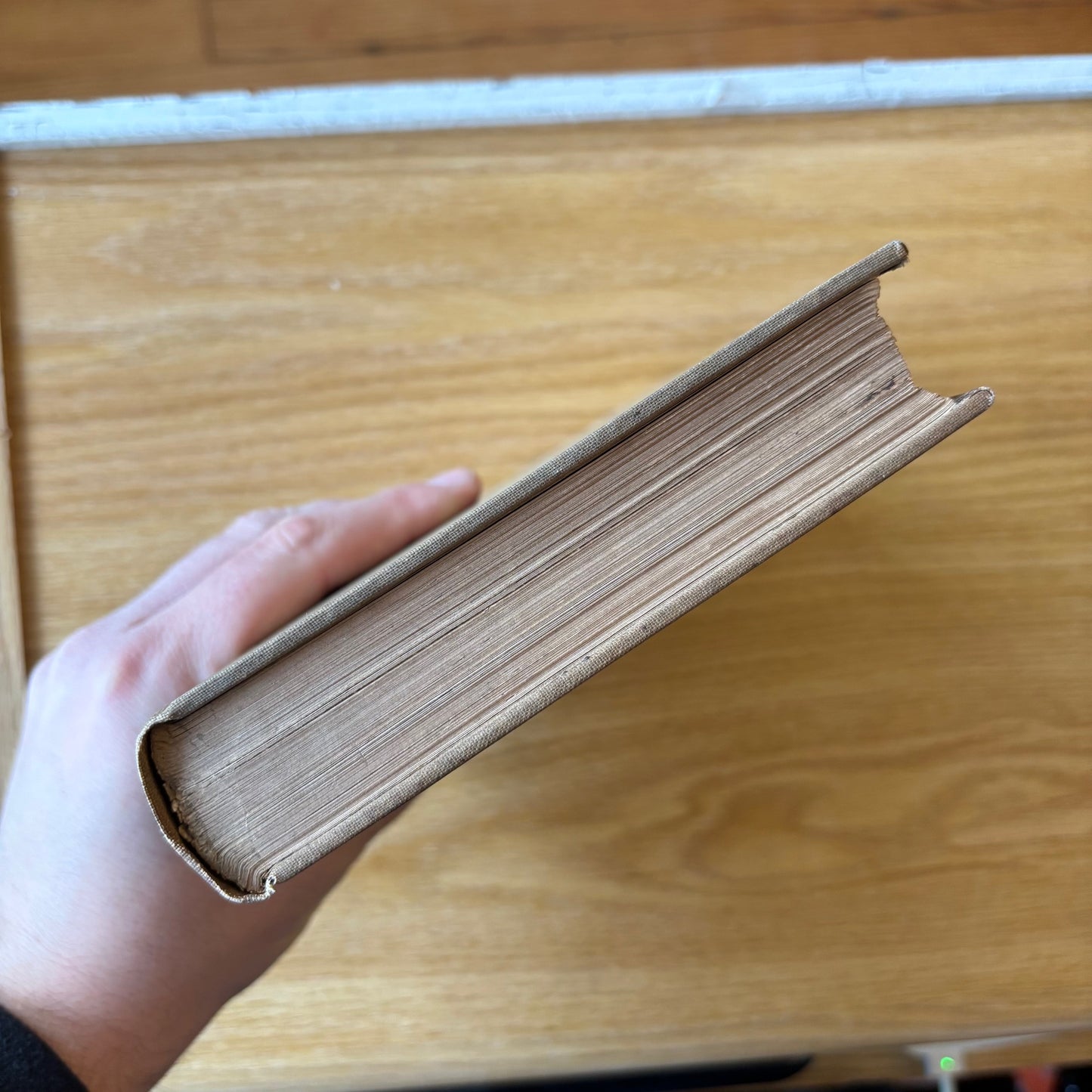 Daniel Giruad Elliot - North American Shore Birds