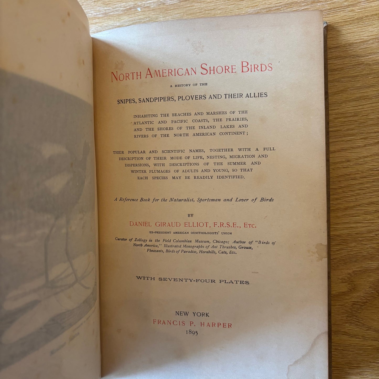 Daniel Giruad Elliot - North American Shore Birds