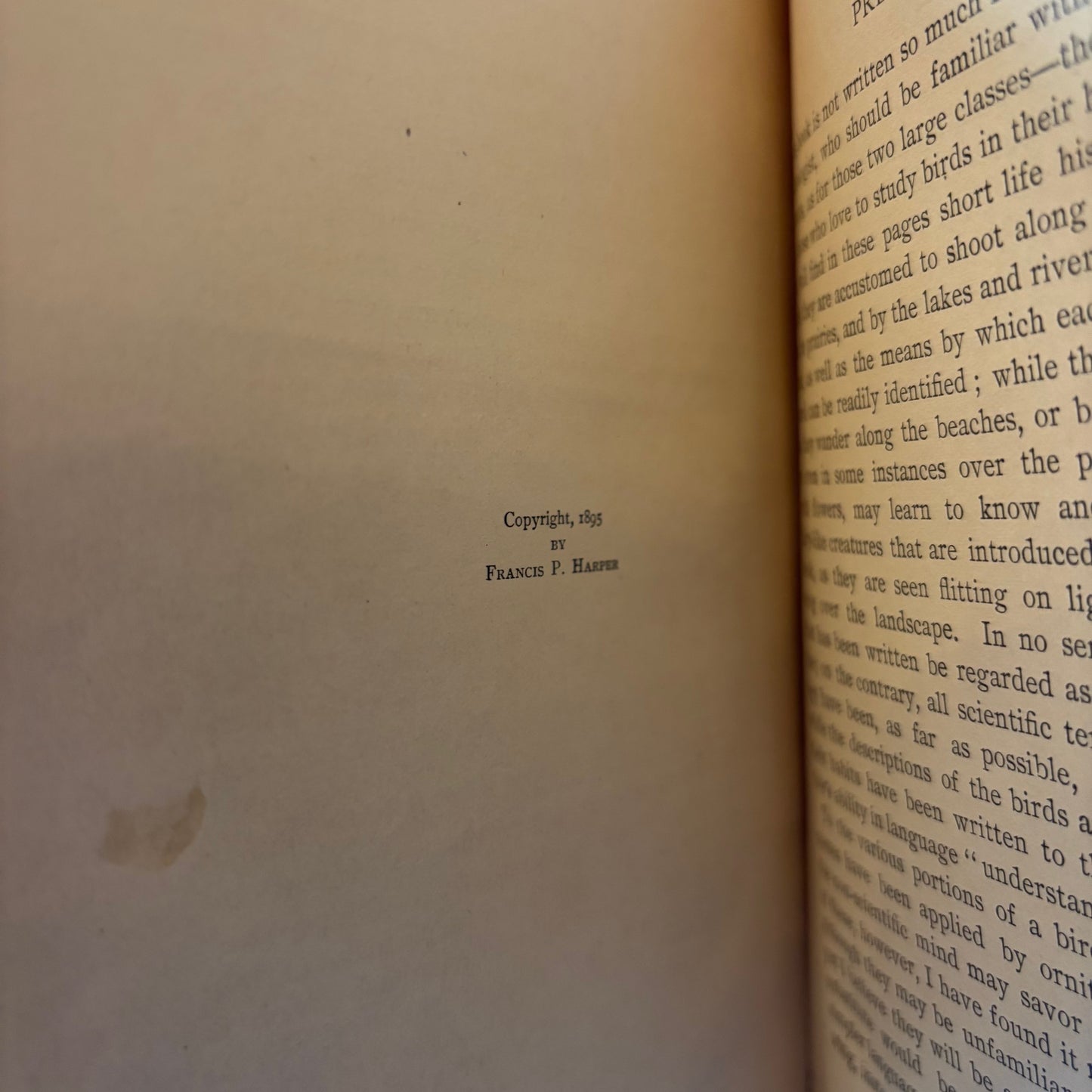 Daniel Giruad Elliot - North American Shore Birds