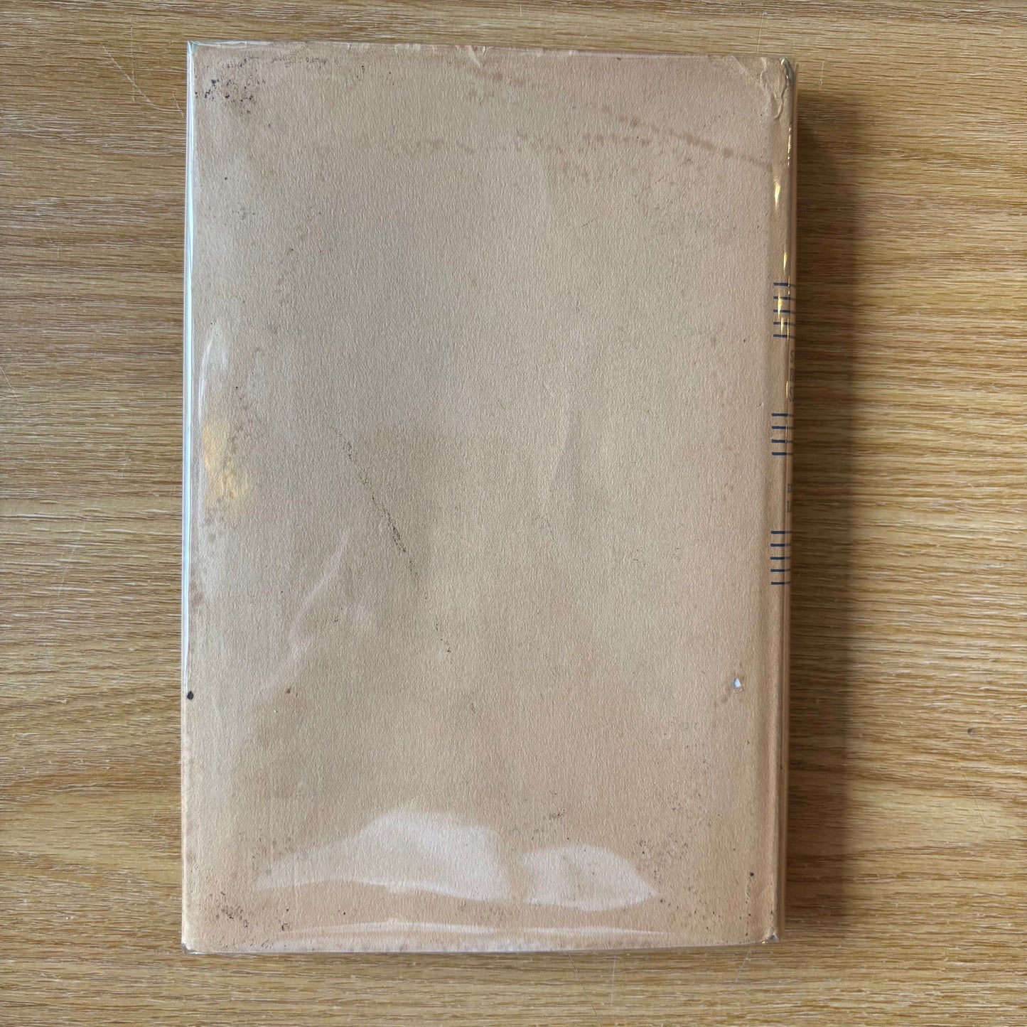 Edward A. Lapham - Stony Brook Secrets - First Edition