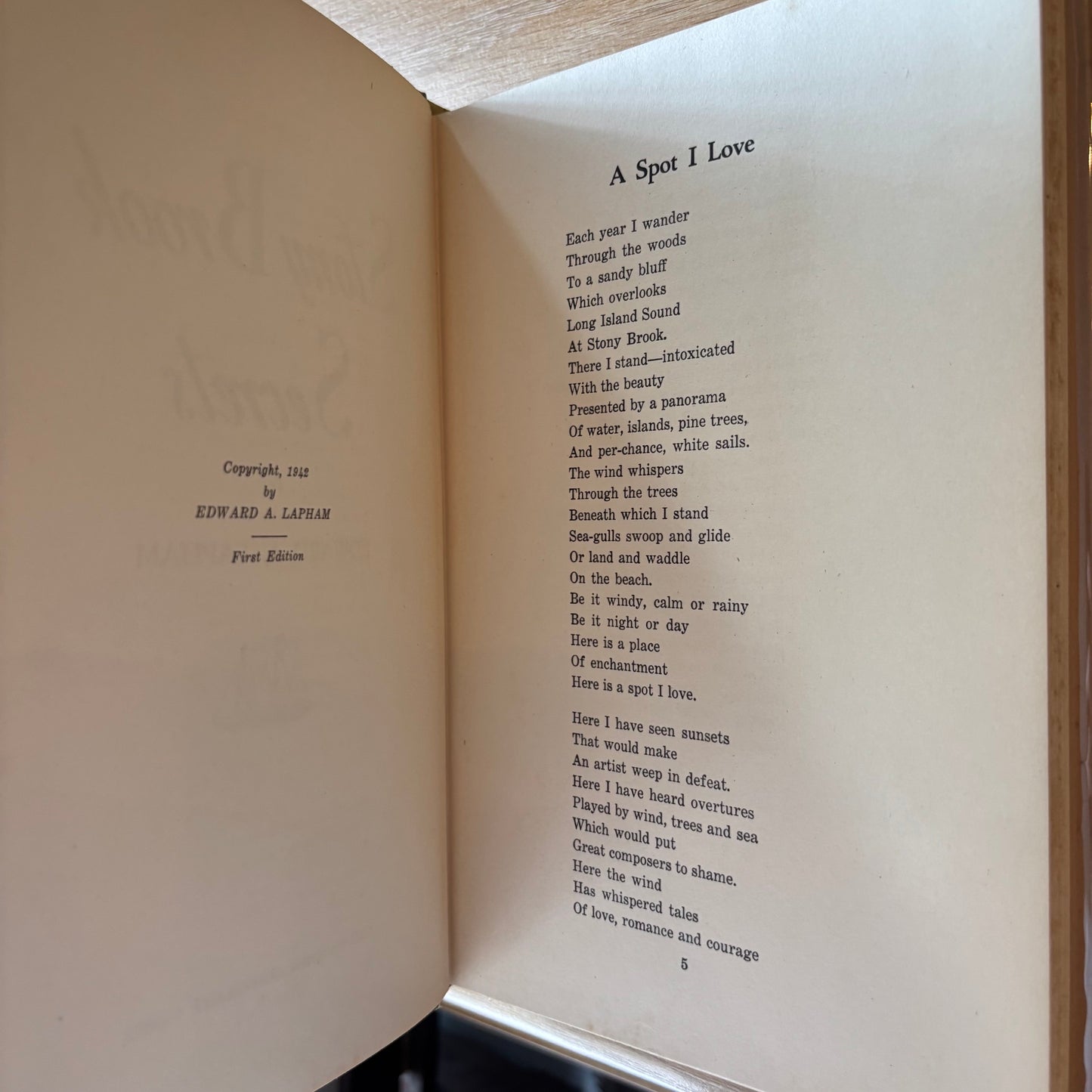 Edward A. Lapham - Stony Brook Secrets - First Edition