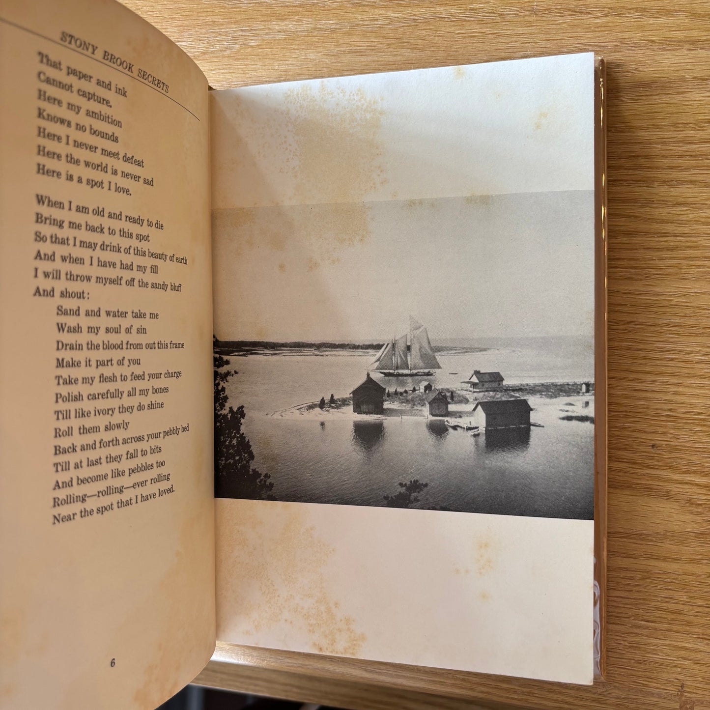Edward A. Lapham - Stony Brook Secrets - First Edition
