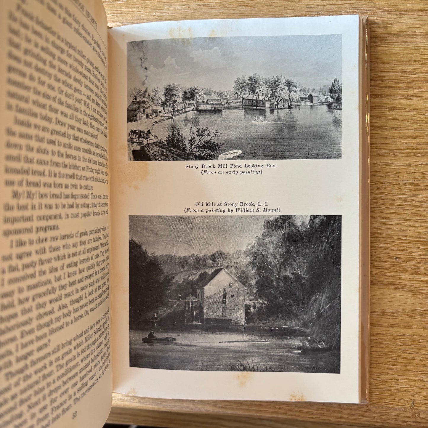 Edward A. Lapham - Stony Brook Secrets - First Edition