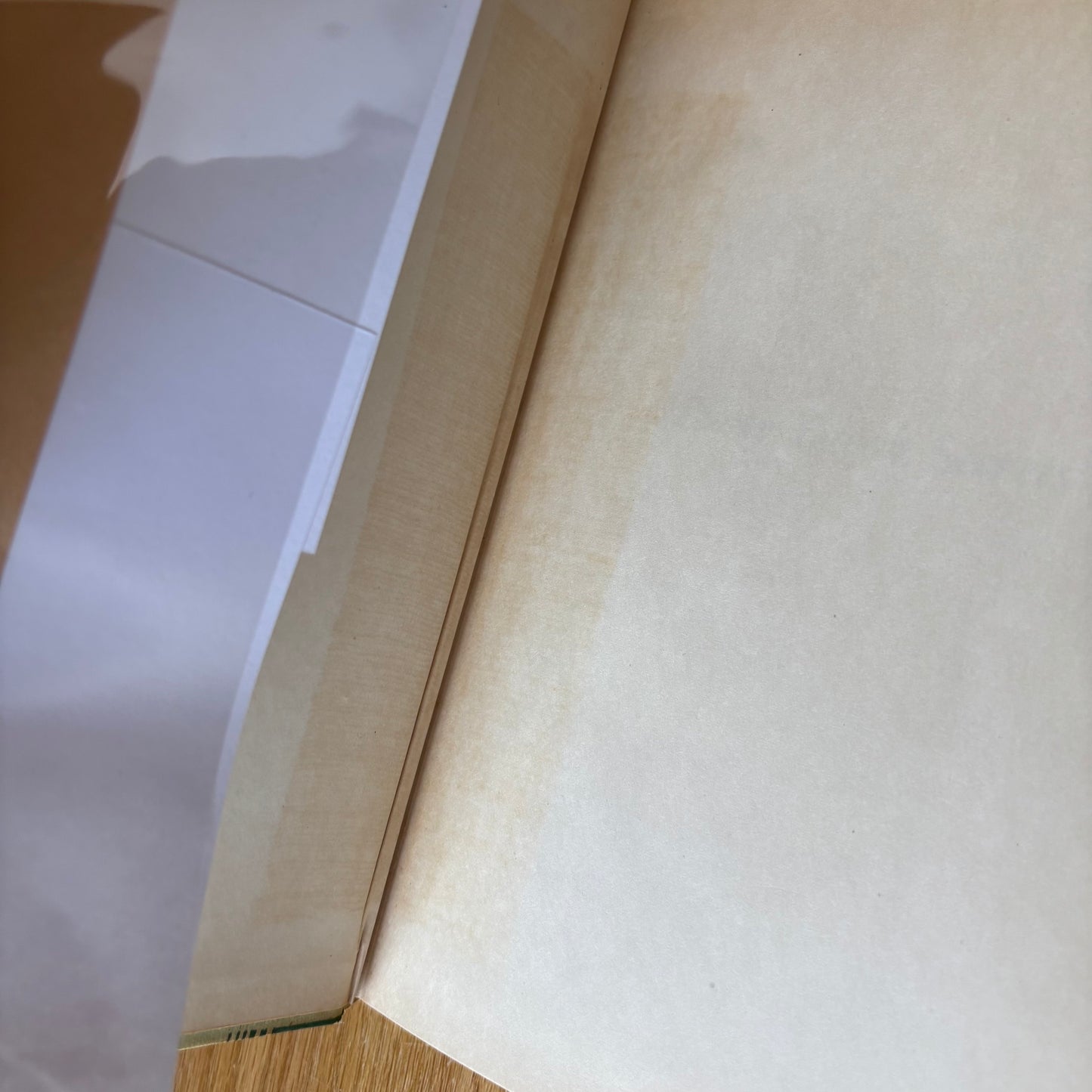Edward A. Lapham - Stony Brook Secrets - First Edition