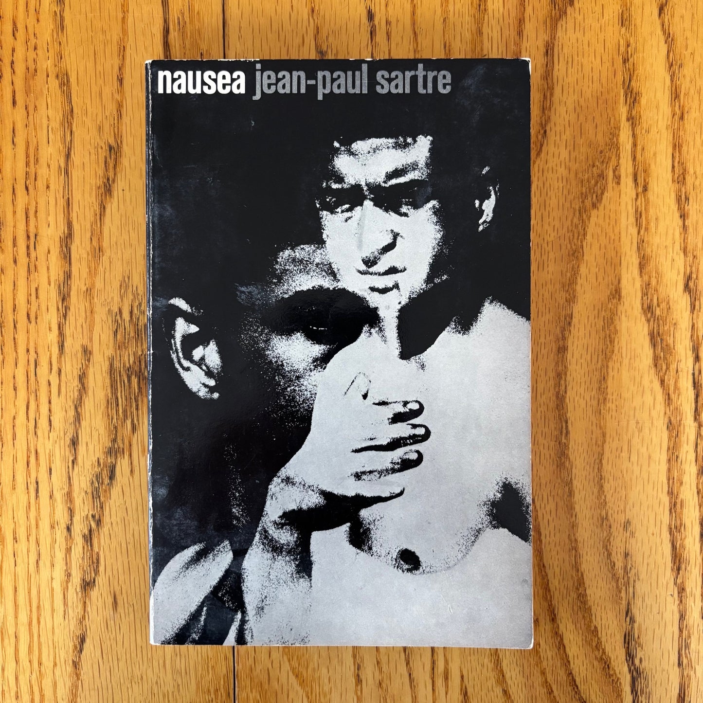 Jean-Paul Sartre - Nausea