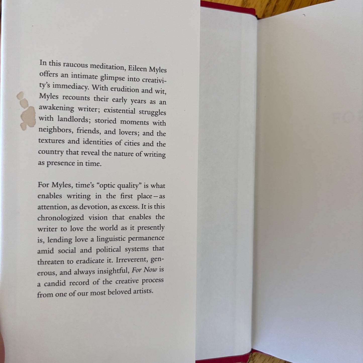 Eileen Myles - For Now - First Edition