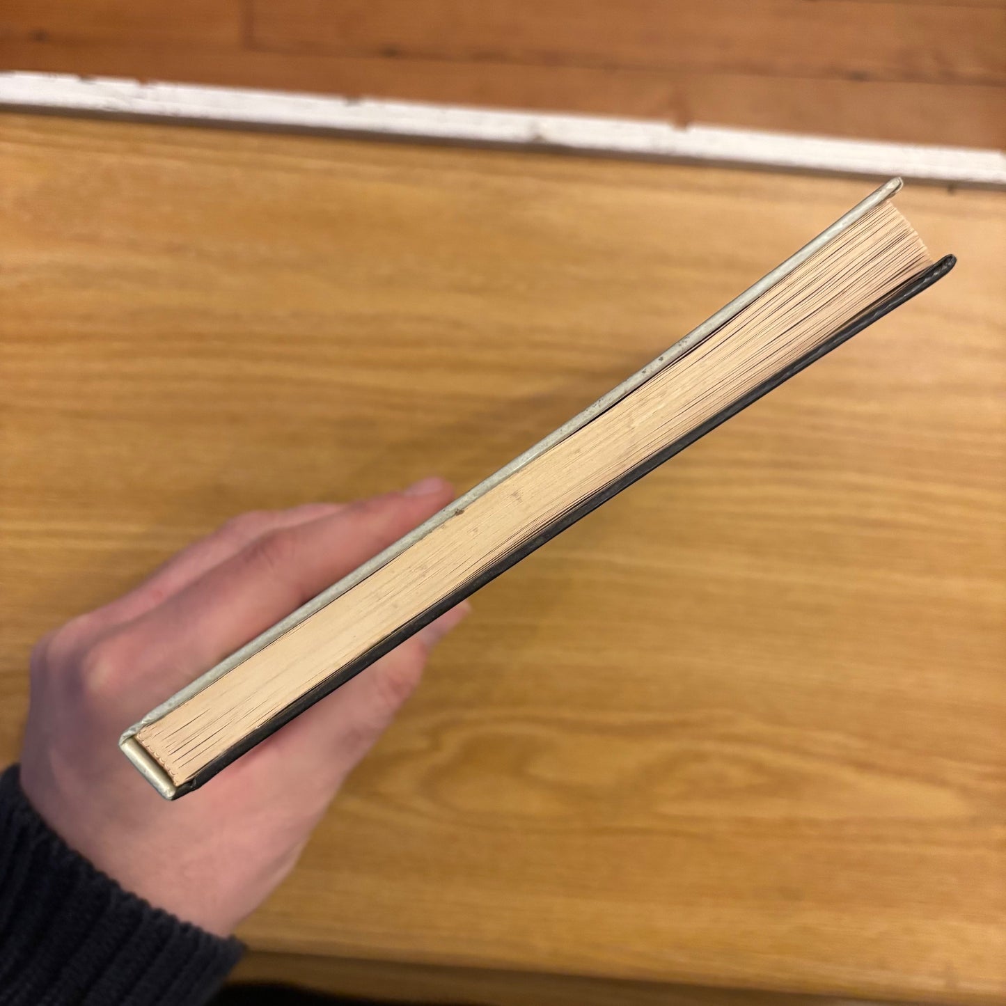 Alexander Belyaev - The Amphibian