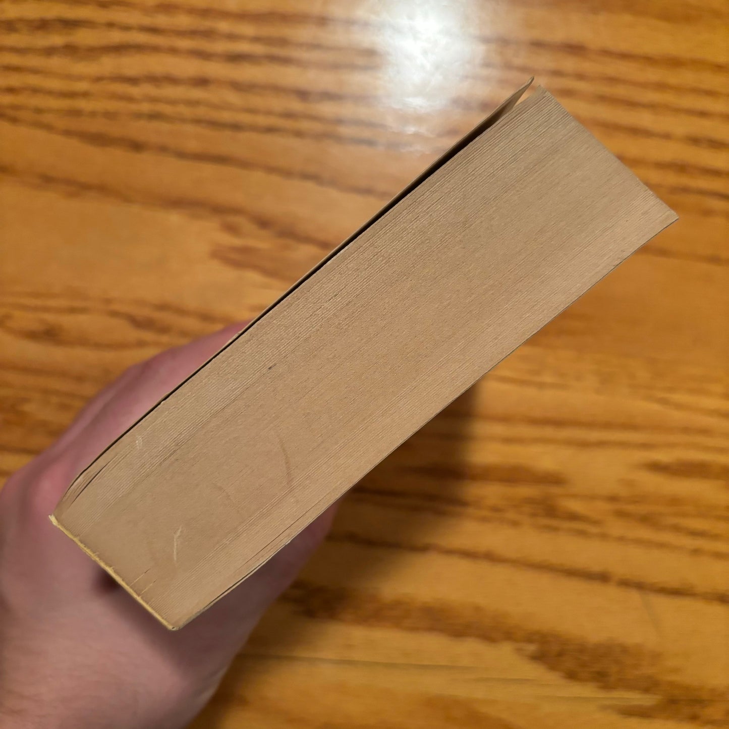 Hal Draper - Karl Marx's Theory of Revolution Volume 1: State and Bureacuracy