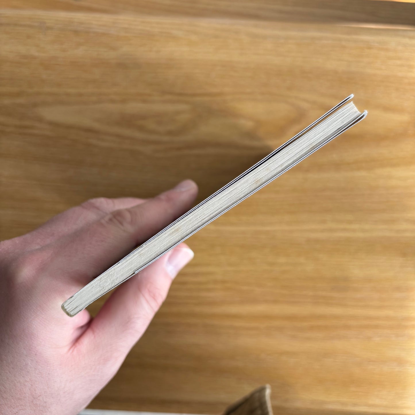 Franck Andre Jamme - The Recitation of Forgetting - First Edition