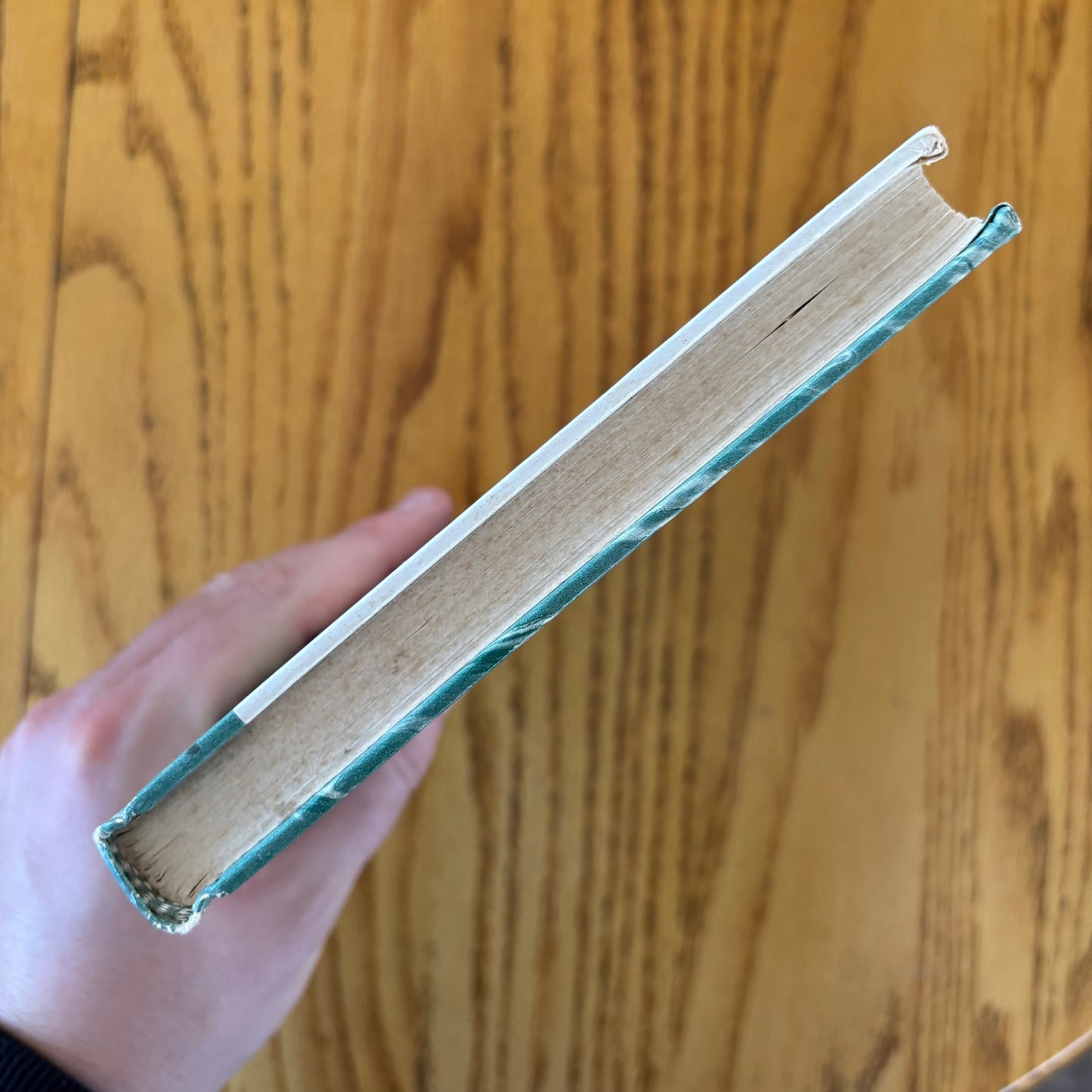 Rosalia de Castro - Poems - First Edition