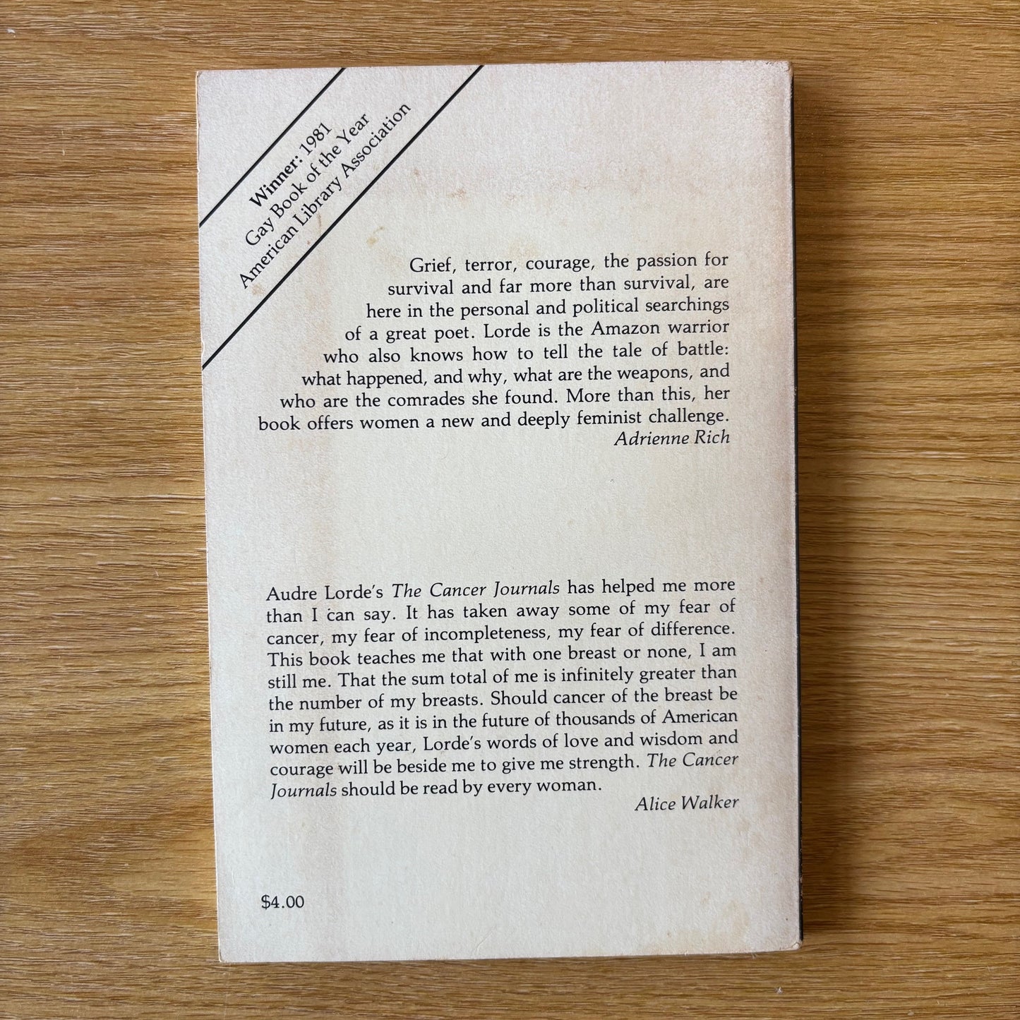 Audre Lorde - The Cancer Journals