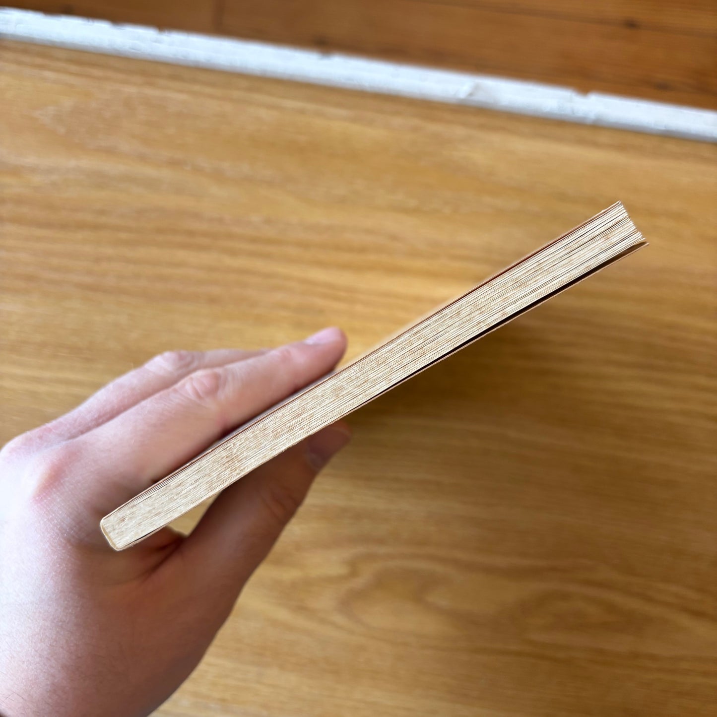 Audre Lorde - The Cancer Journals