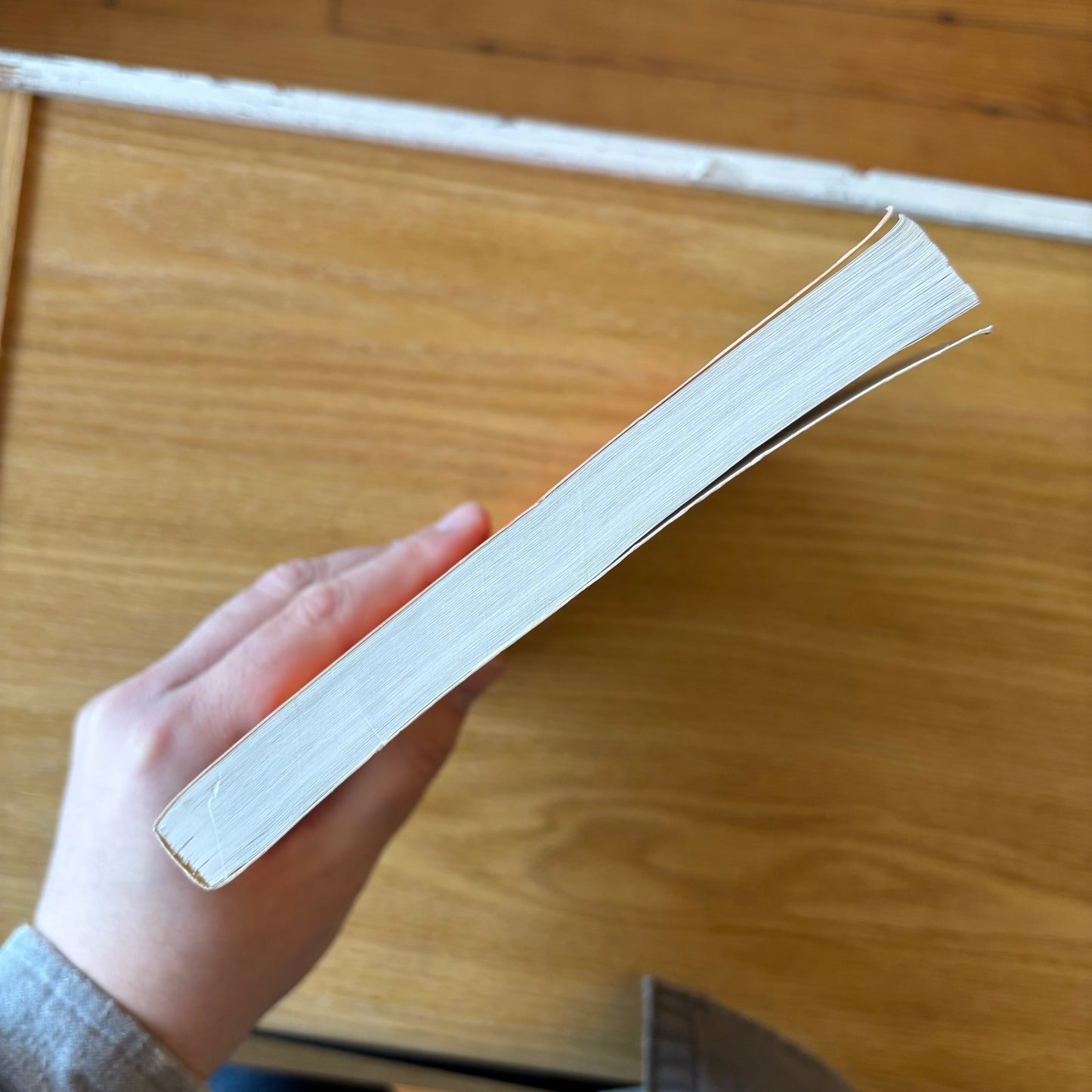 Audre Lorde - Zami: A New Spelling of My Name