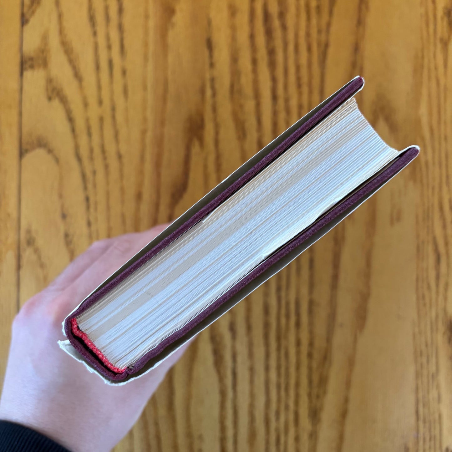 Nikolai Chernyshevsky - What Is to Be Done? - First Edition