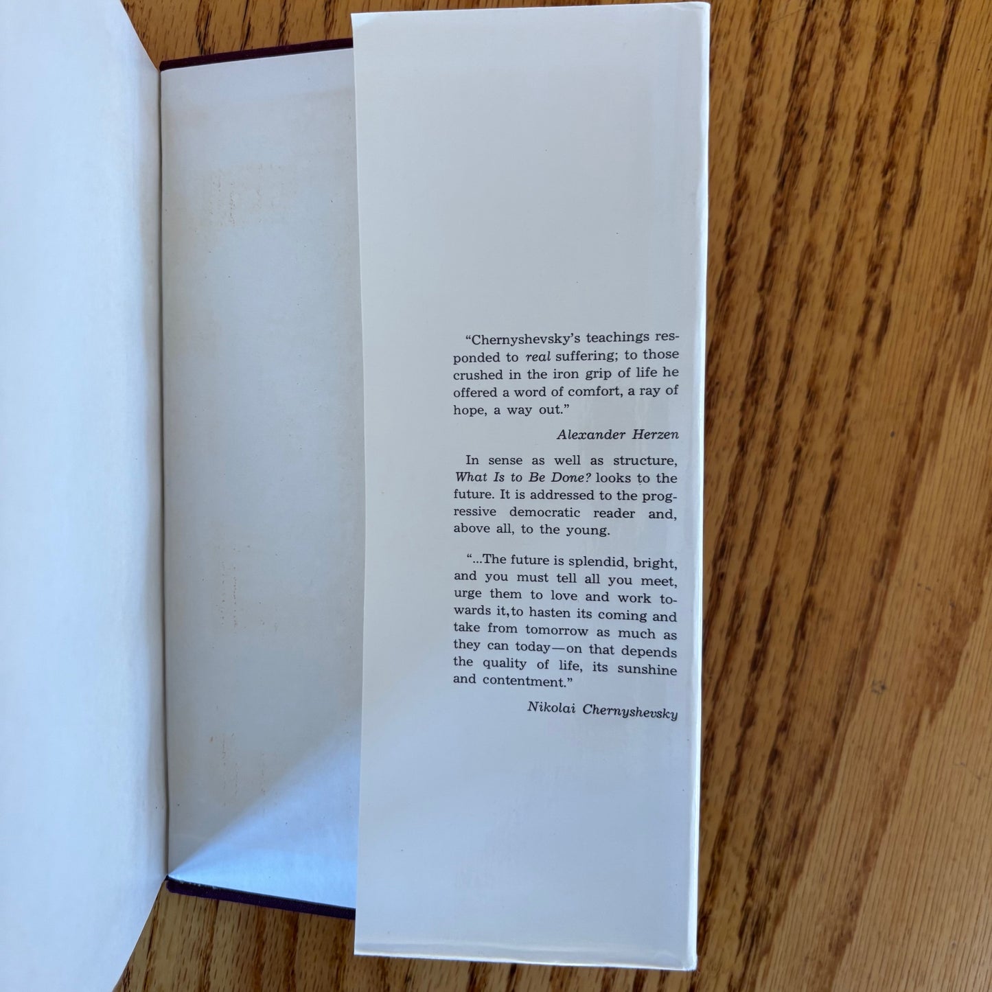 Nikolai Chernyshevsky - What Is to Be Done? - First Edition