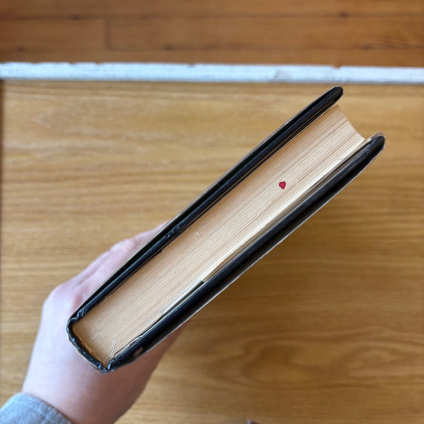 Edward Gorey's Haunted Looking Glass