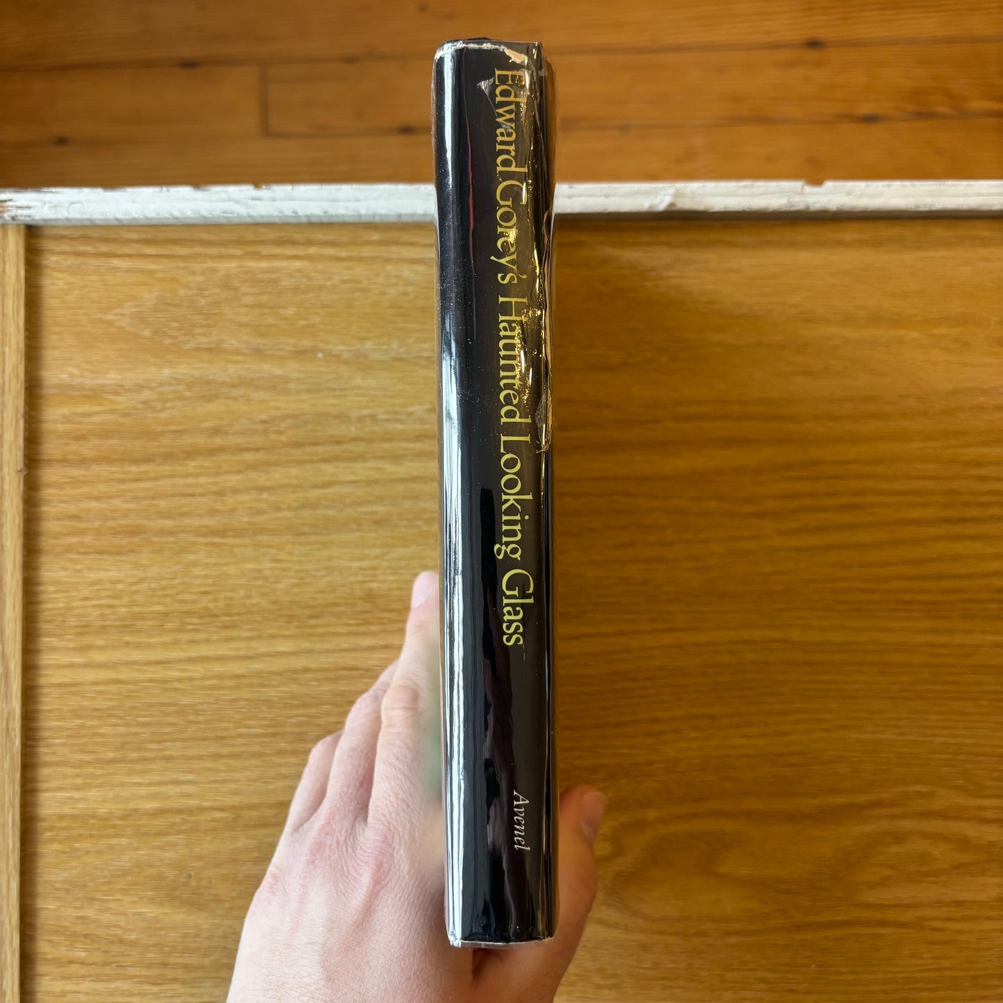 Edward Gorey's Haunted Looking Glass