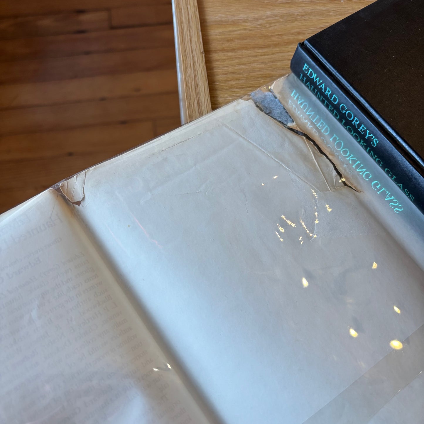 Edward Gorey's Haunted Looking Glass