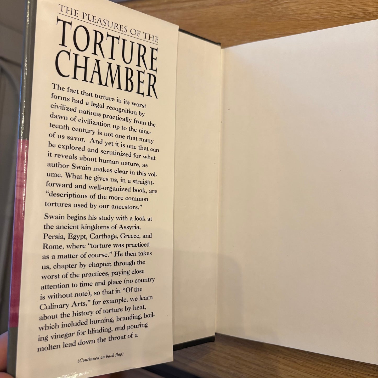 John Swain - The Pleasures of the Torture Chamber