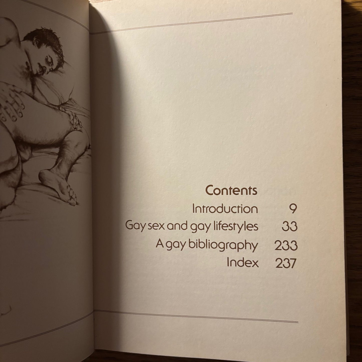 Dr. Charles Silverstein & Edmund White - The Joy of Gay Sex - First Edition