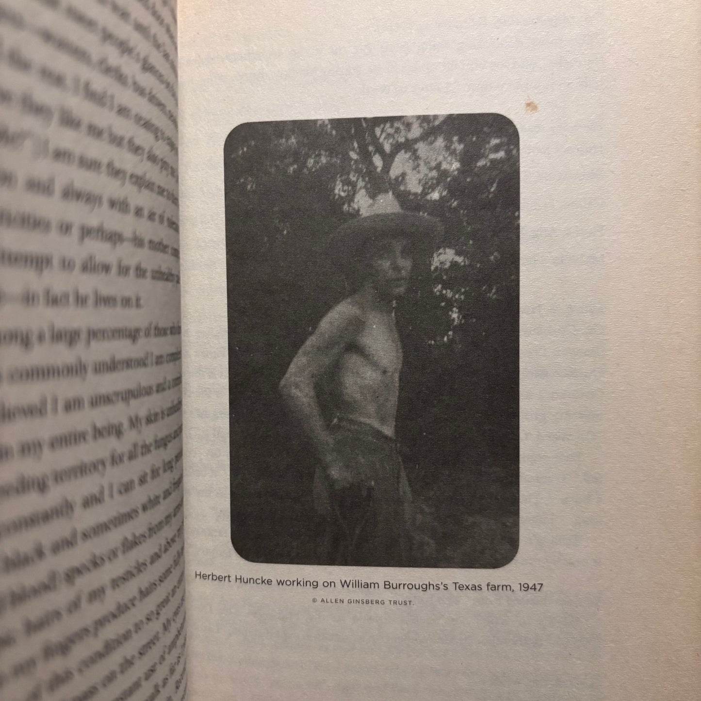 Allen Ginsberg - The Book of Martyrdom and Artifice: First Journals and Poems 1937-1952 - First Edition