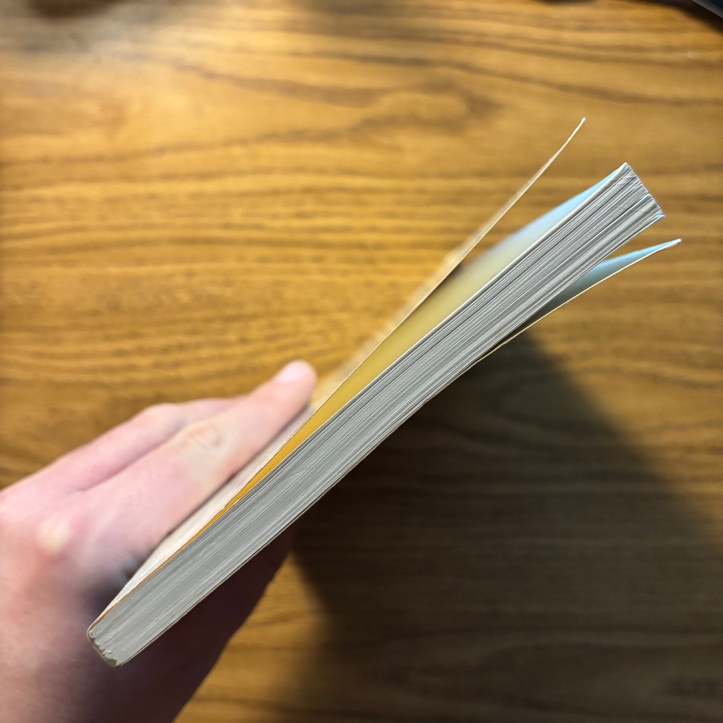 Ron Allen & Stella Crews, eds. - HIPology: Horizons in Poetry - First Edition