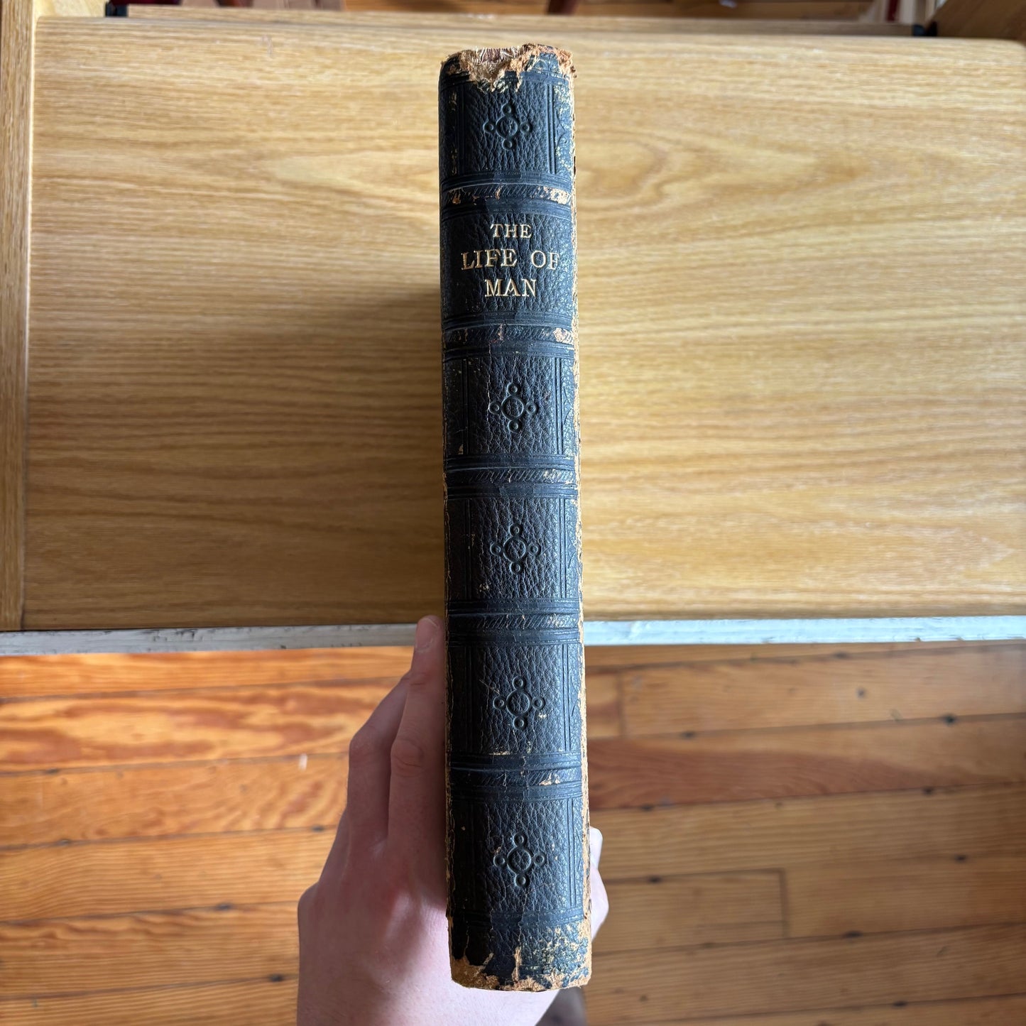 Richard Pigot - The Life of Man Symbolised