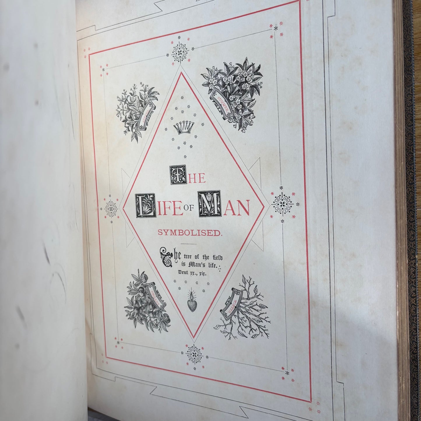 Richard Pigot - The Life of Man Symbolised