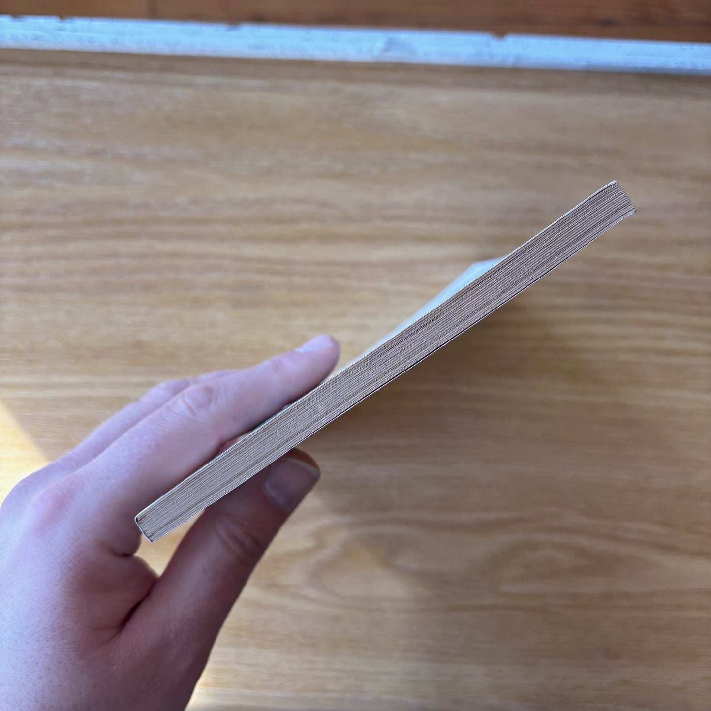 Ray Palmer, Bea Mahaffey, eds. - Mystic Magazine - November 1953