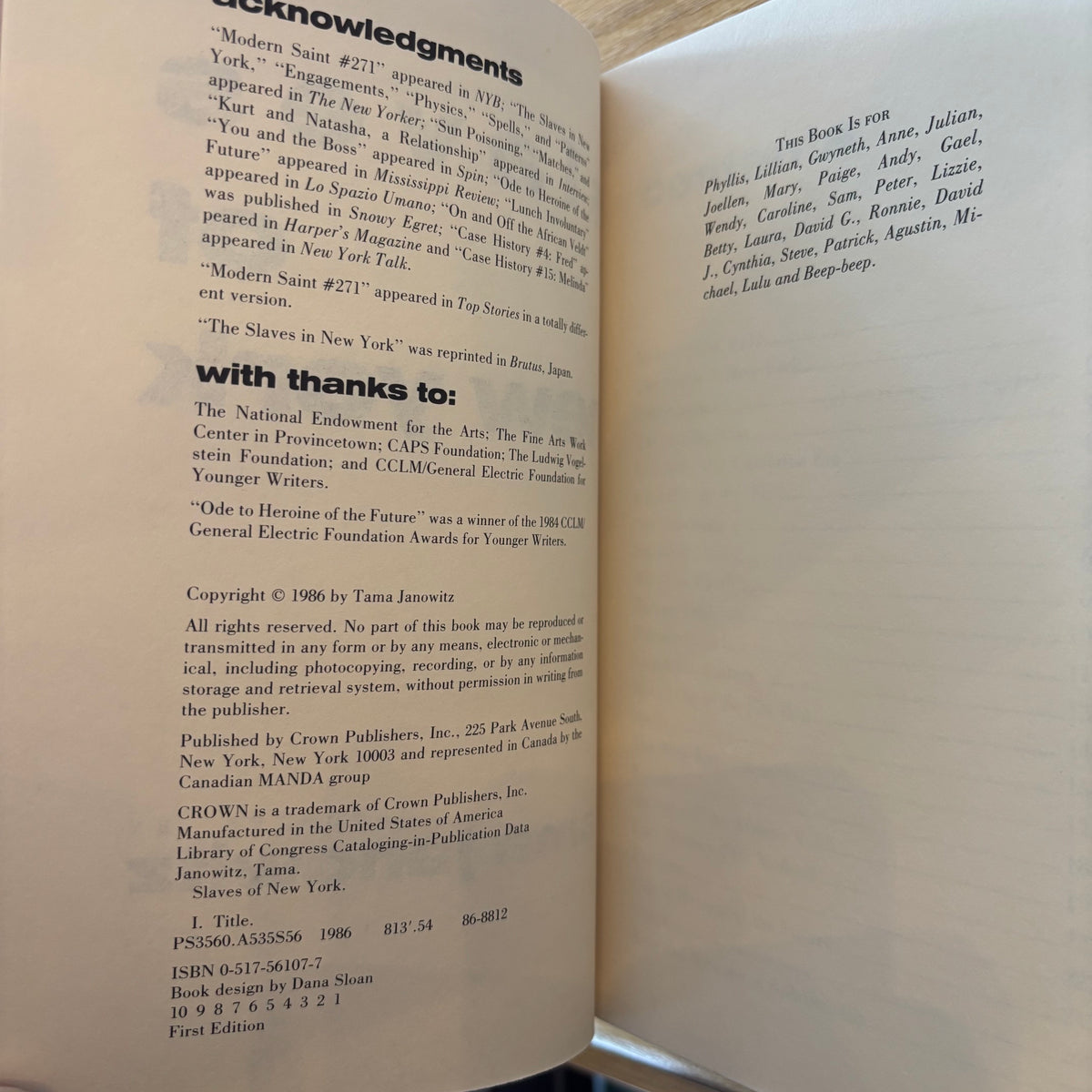 Tama Janowitz - Slaves of New York - First Edition