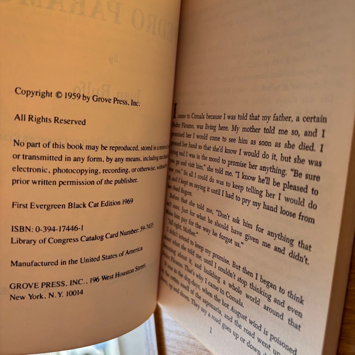 Juan Rulfo - Pedro Paramo