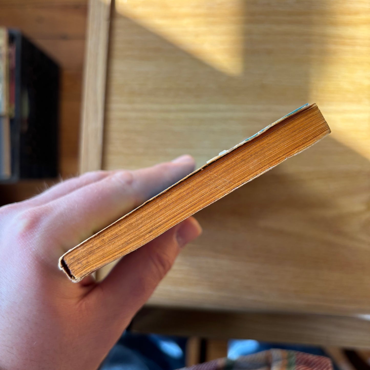 Alston Anderson - Lover Man - First Edition Paperback