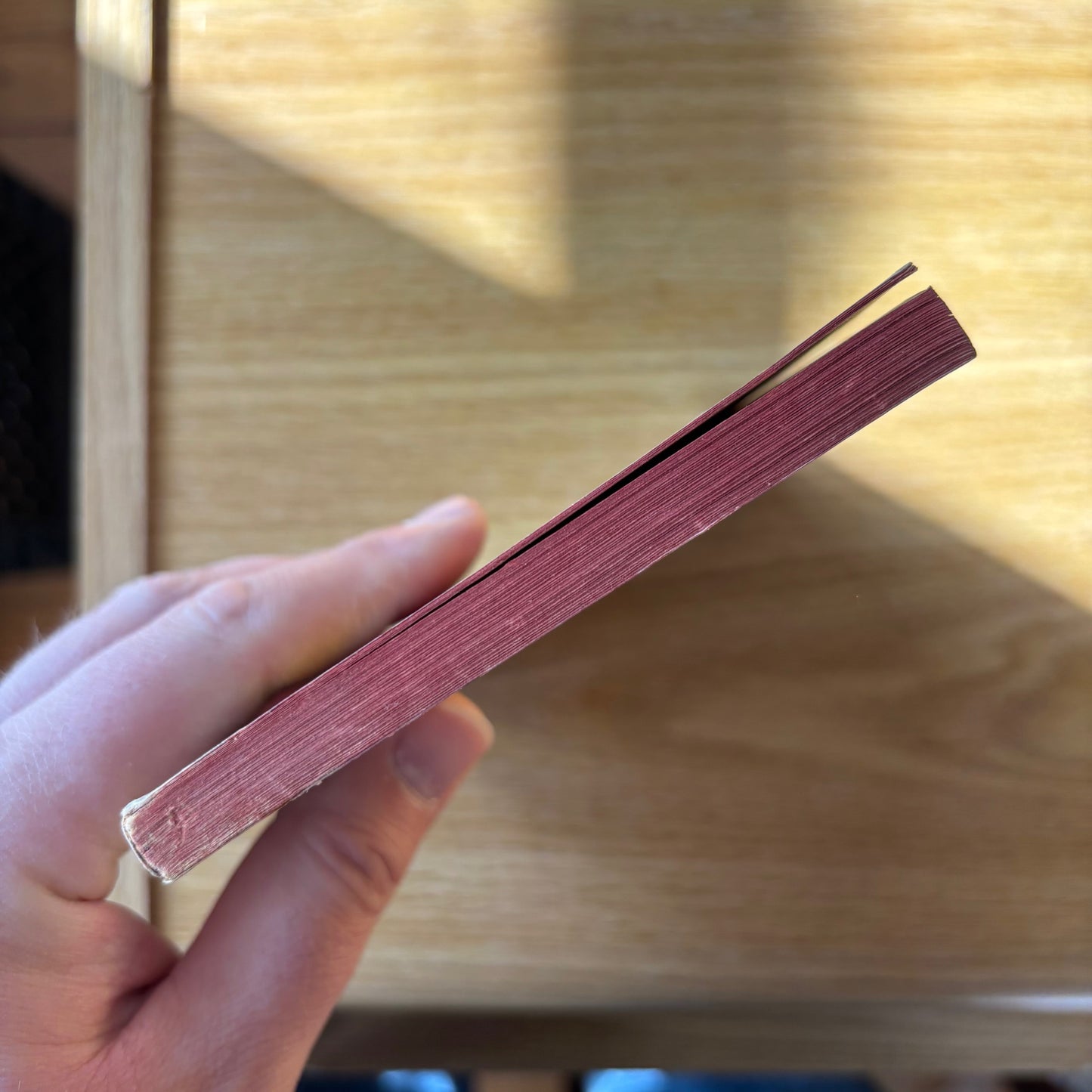 Anais Nin - A Spy in the House of Love