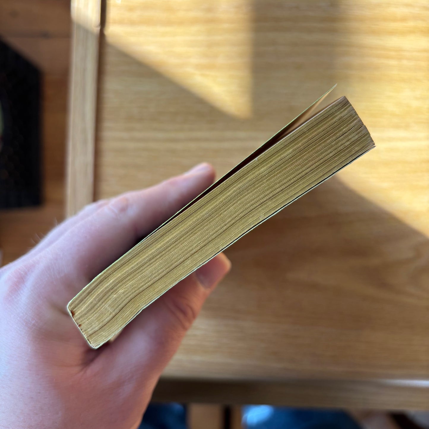 William Gardner Smith - South Street