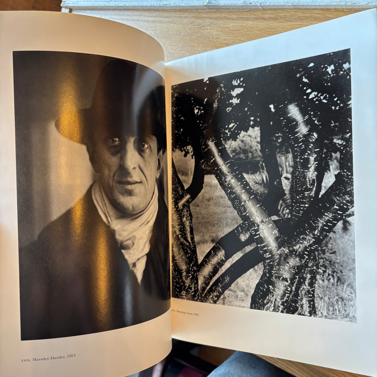 Dorothy Norman - Alfred Stieglitz: An American Seer - Signed First Edition Paperback