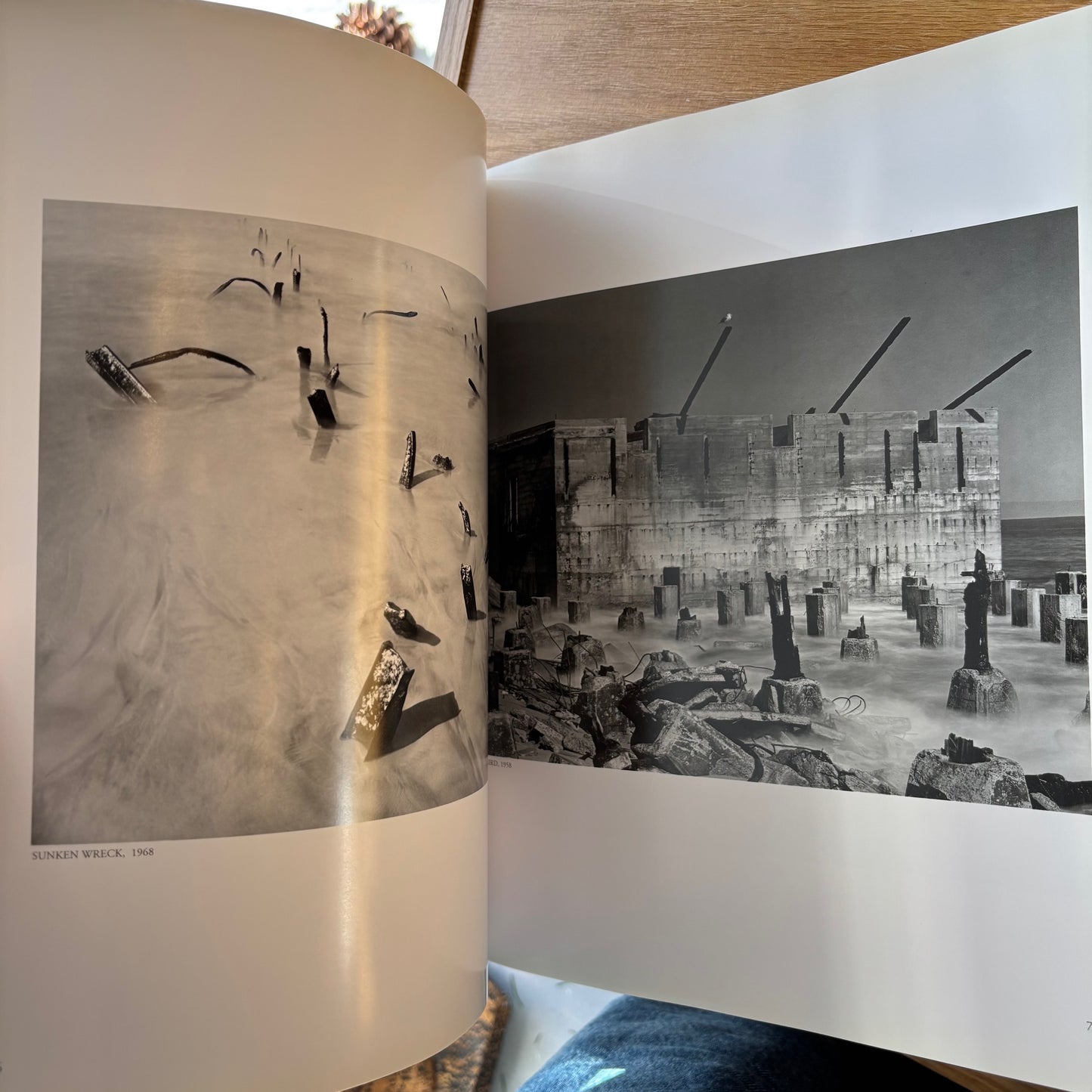 Wynn Bullock - The Enchanted Landscape: Photographs 1940-1975 - First Edition