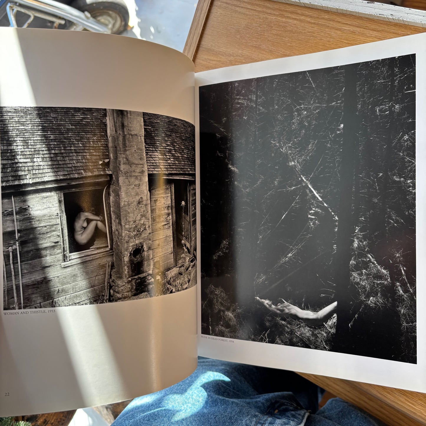 Wynn Bullock - The Enchanted Landscape: Photographs 1940-1975 - First Edition