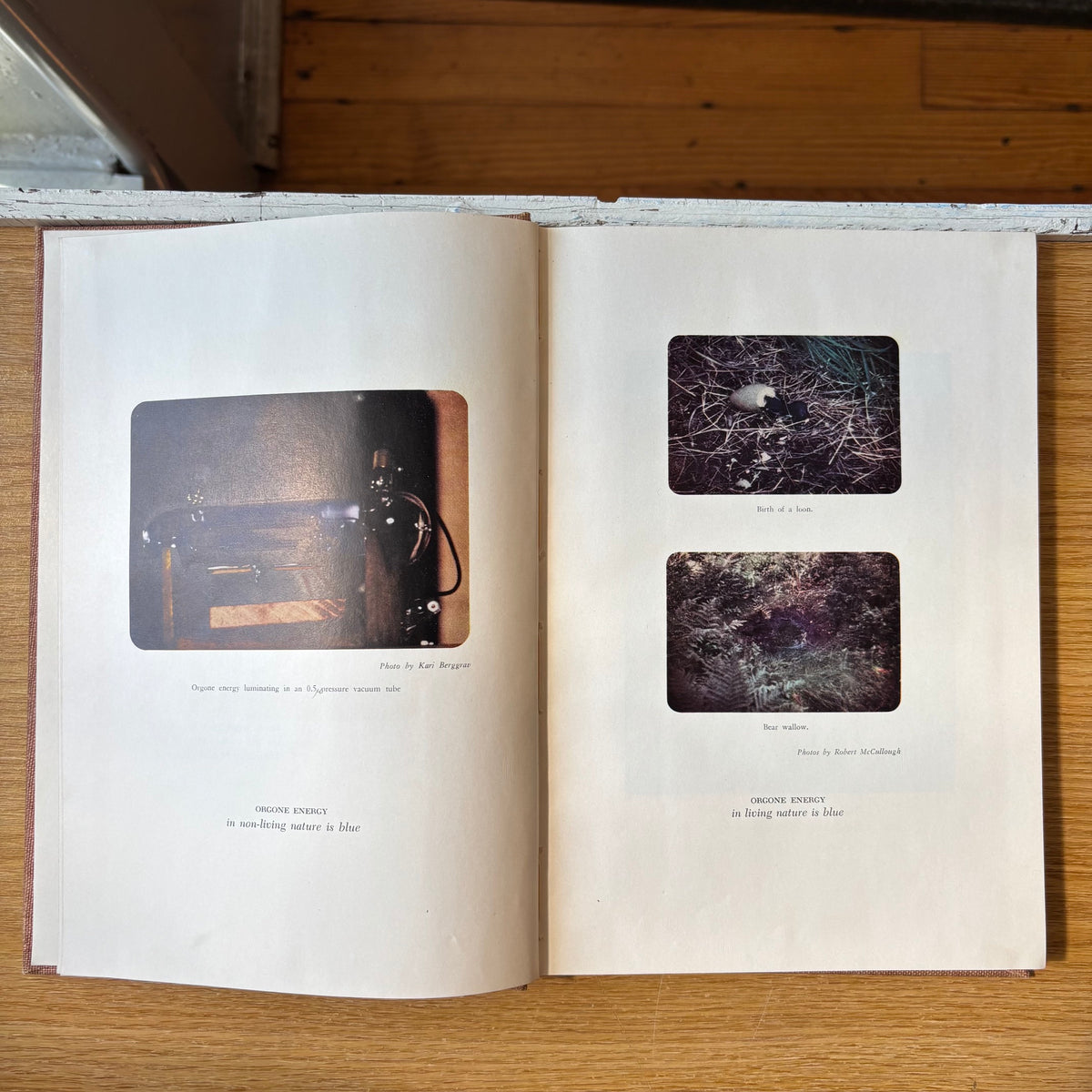 Wilhelm Reich - The Emotional Plague of Mankind, Vol. 1: The Murder of Christ - Limited Edition