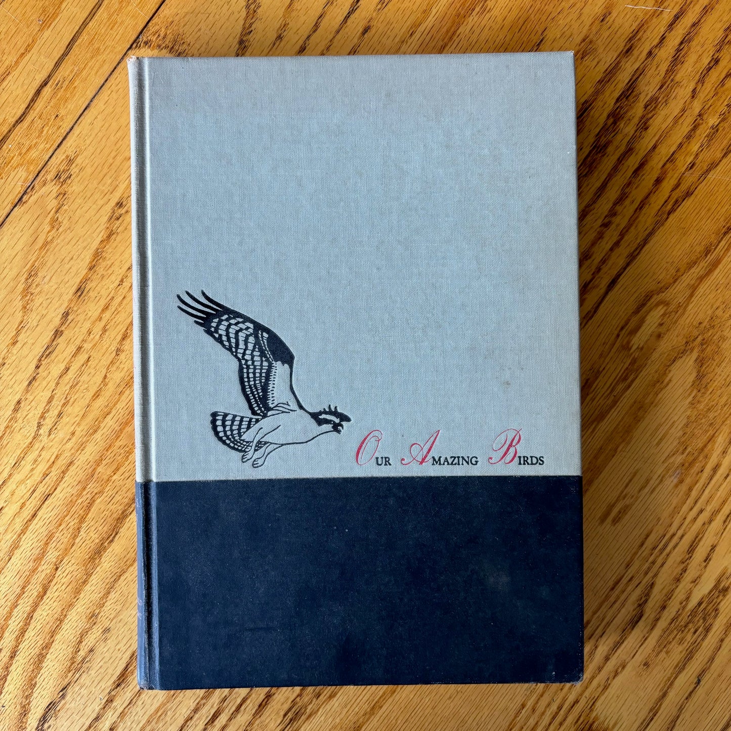 Robert S. Lemmon - Our Amazing Birds - Presentation Edition