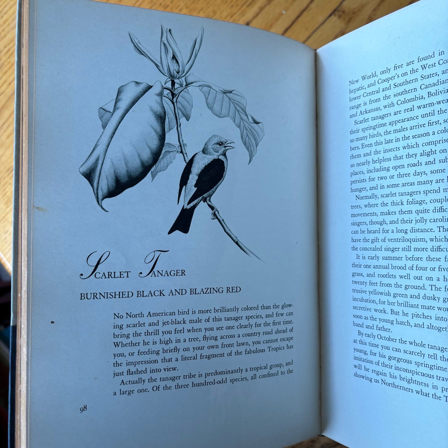 Robert S. Lemmon - Our Amazing Birds - Presentation Edition