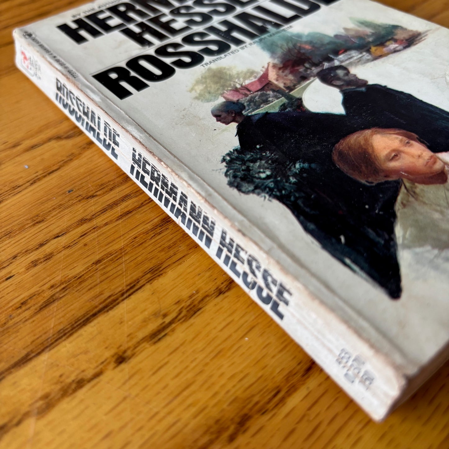 Hermann Hesse - Rosshalde