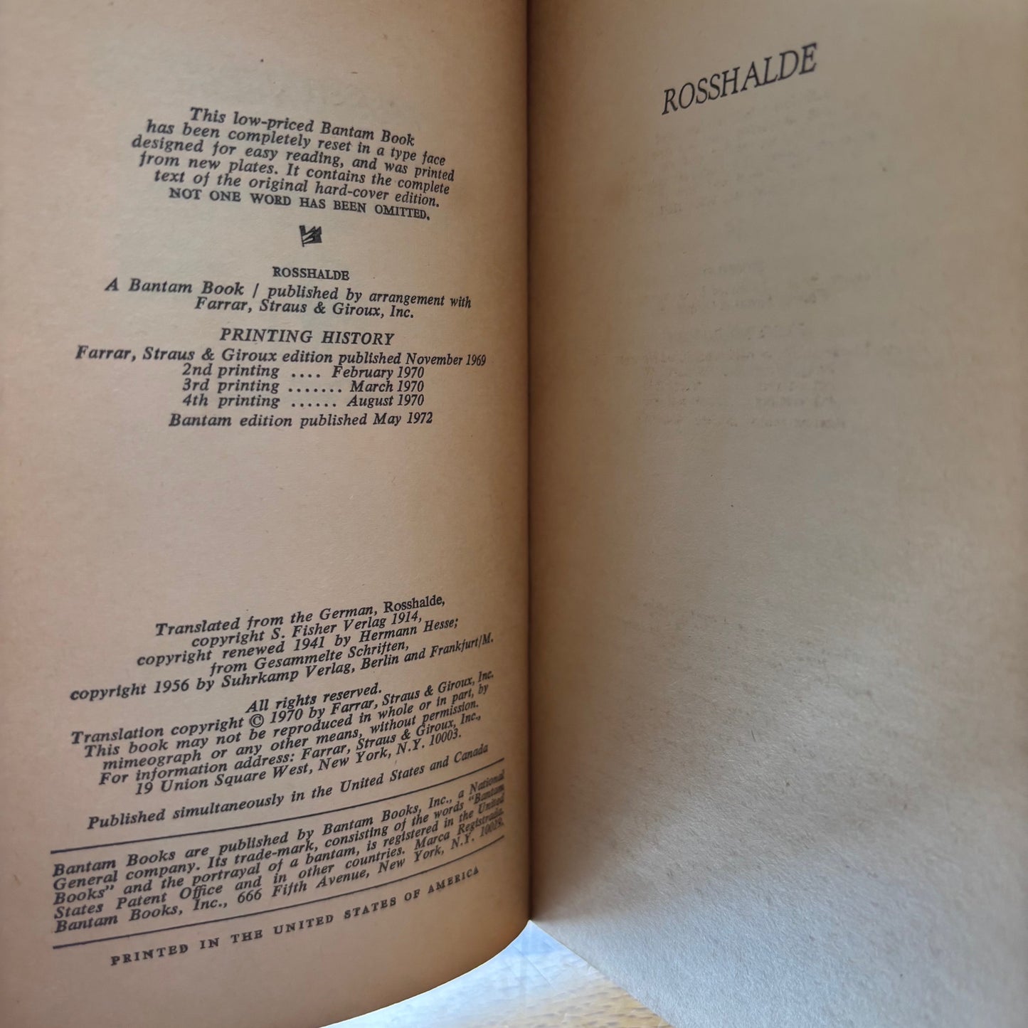 Hermann Hesse - Rosshalde