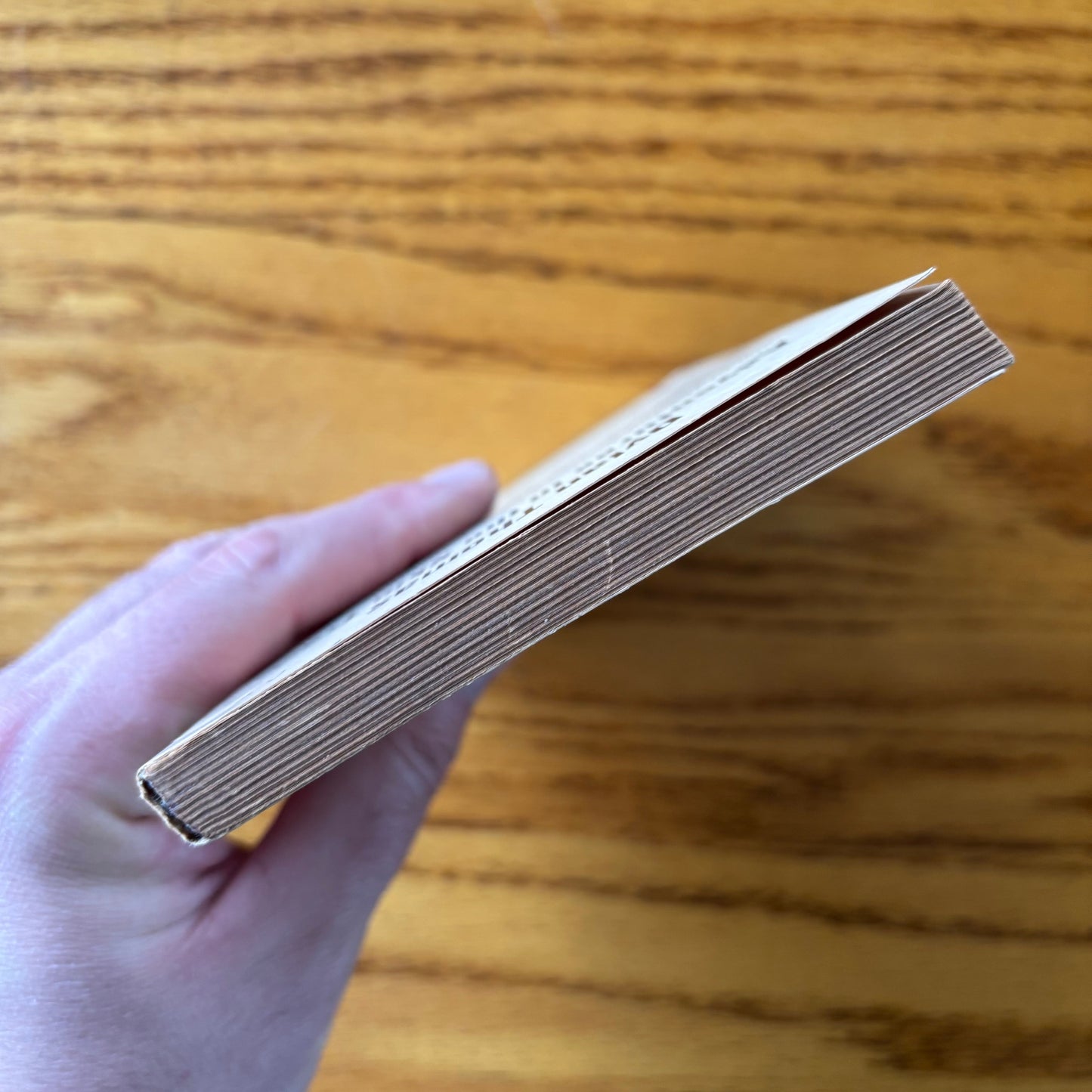 Dylan Thomas - Adventures in the Skin Trade - Signet Classic