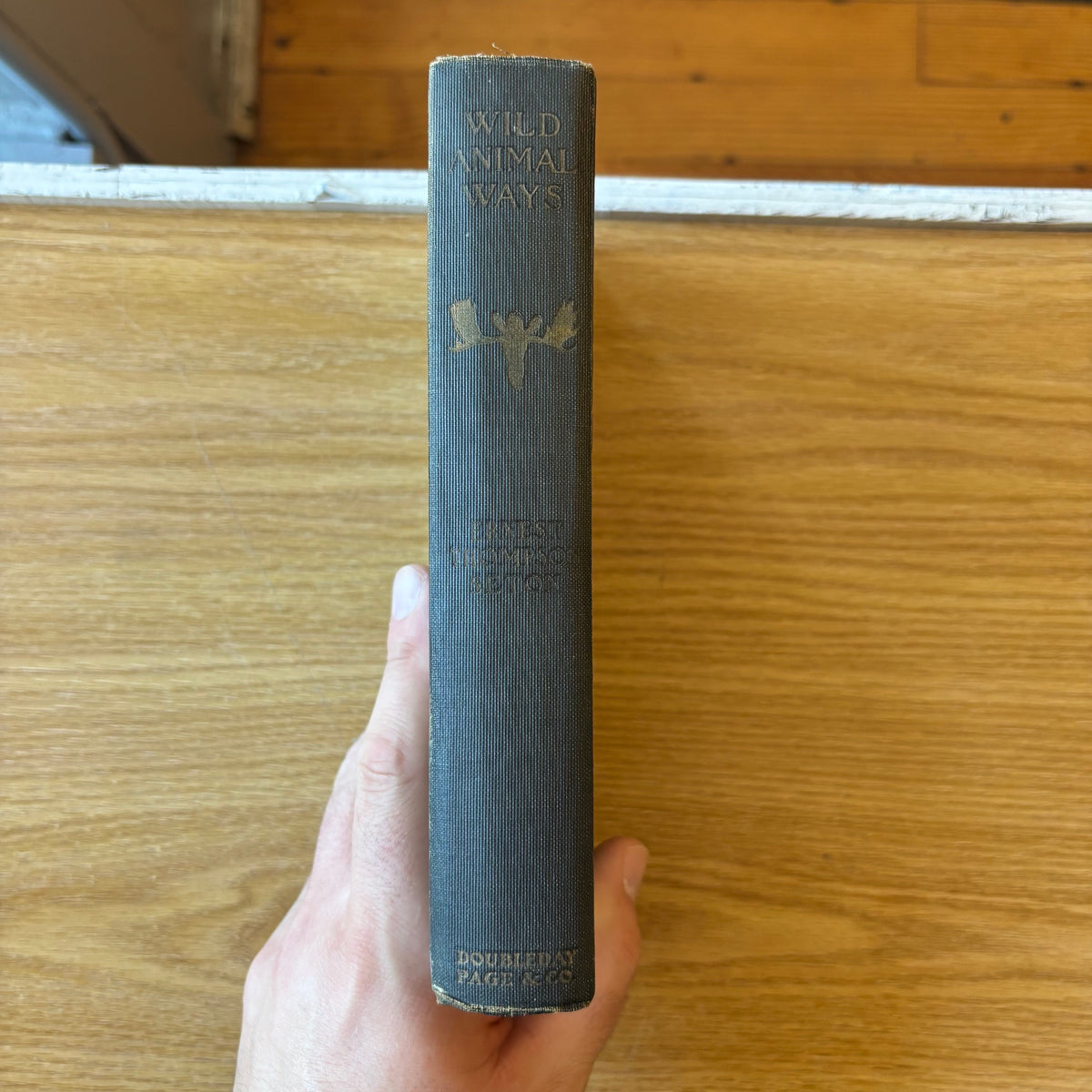 Ernest Thompson Seton - Wild Animal Ways
