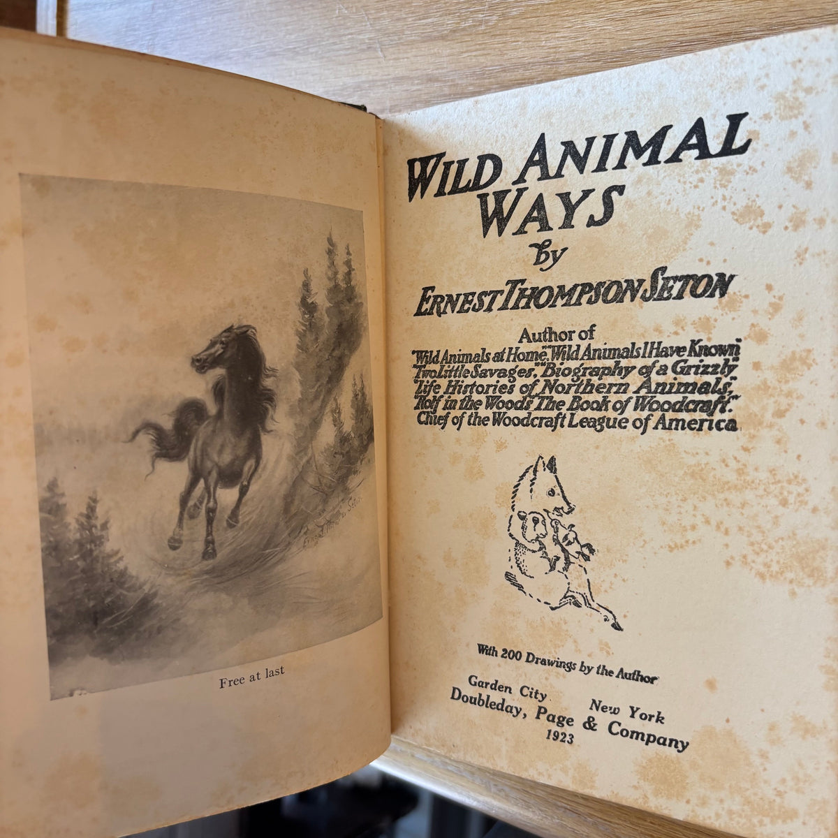 Ernest Thompson Seton - Wild Animal Ways