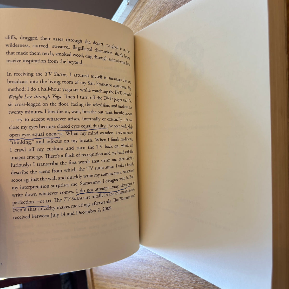Dodie Bellamy - The TV Sutras - First Edition