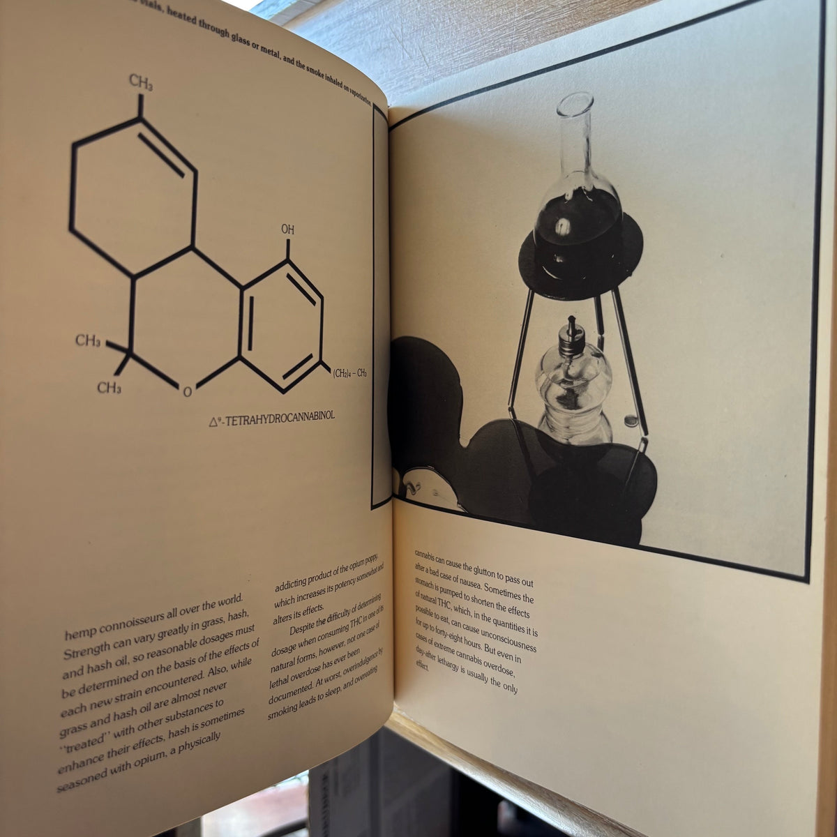 Pamela Lloyd - The Book of Pot - First Edition