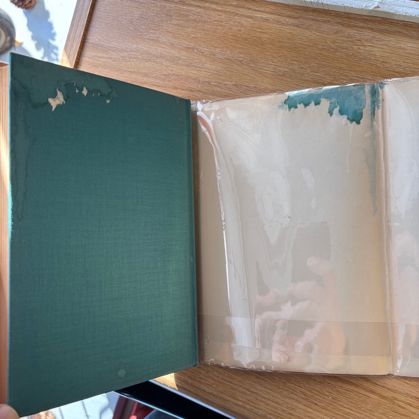 Meridel Le Sueur - Salute to Spring - Signed First Edition