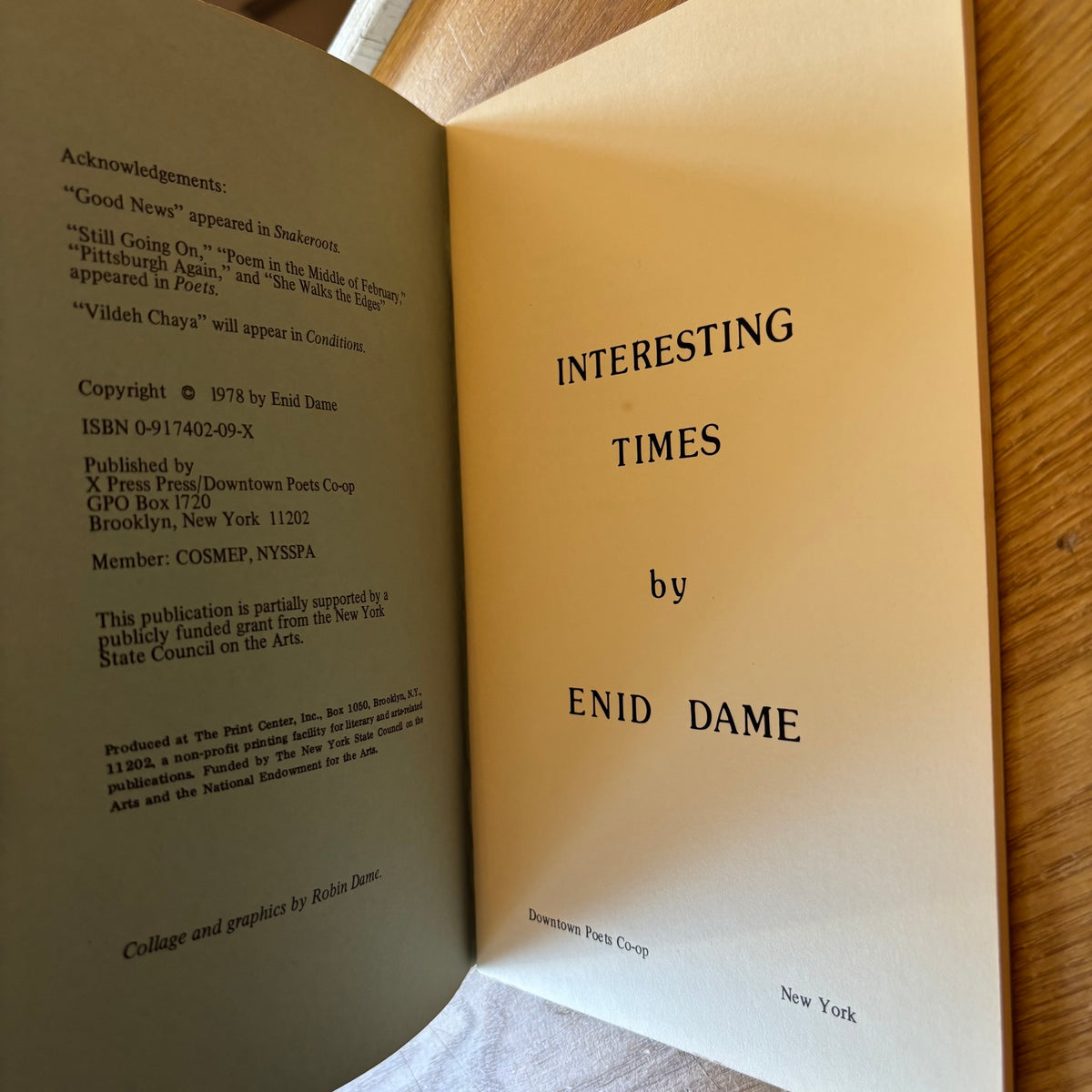 Enid Dame - Interesting Times